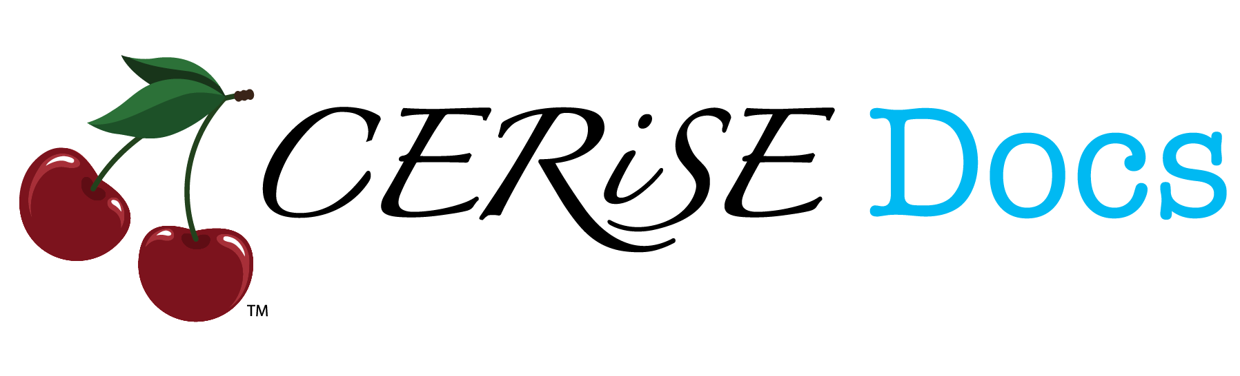 CERiSE Docs Logo
